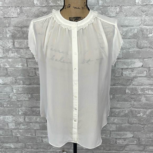 Joie Dainty Ruffle Sheer Silk Blouse - Picture 1 of 6